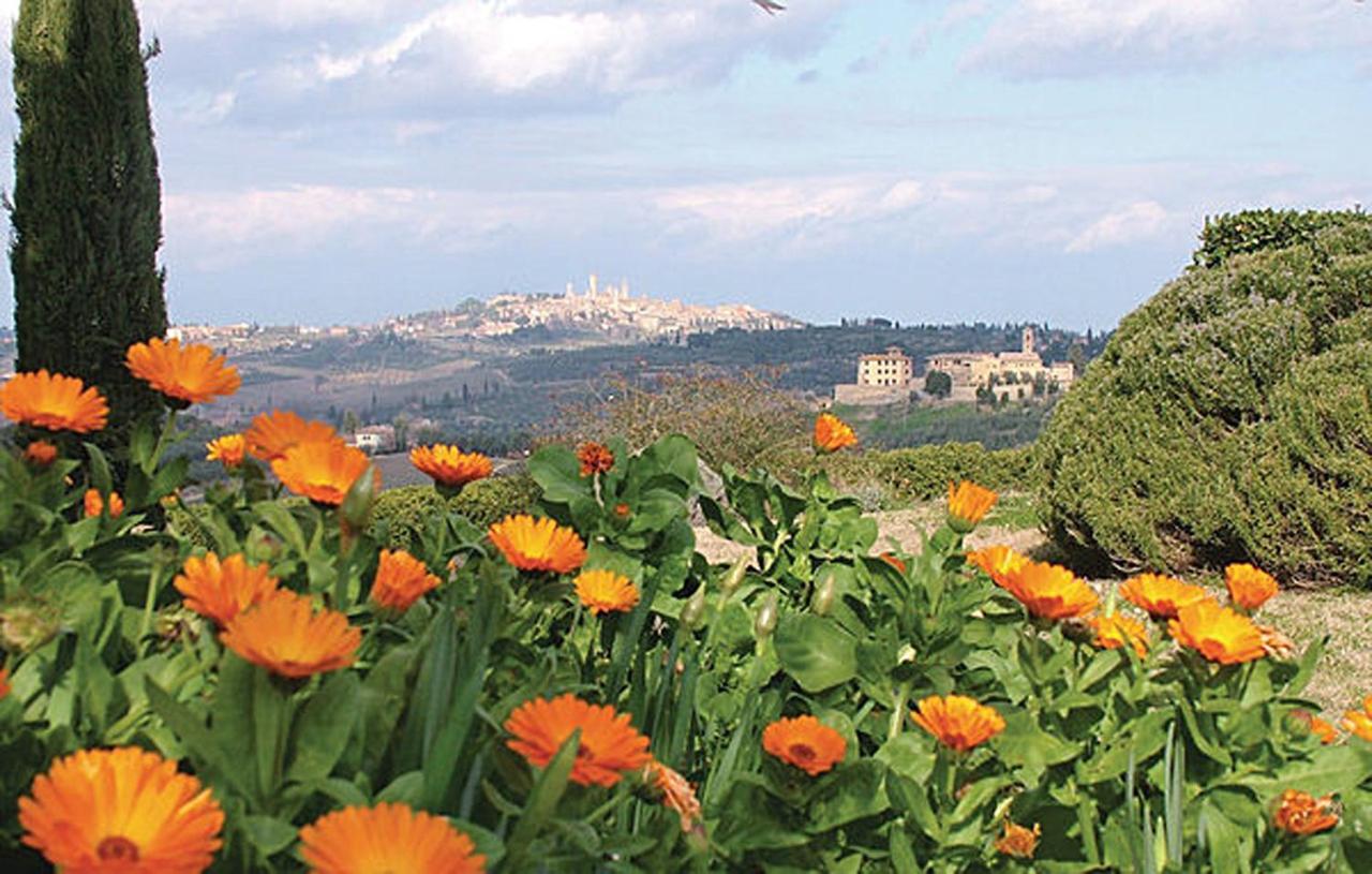 Agriturismo Fattoria Il Piano - Appartamento Lavanda - San Gimignano Exterior foto